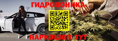 прущая мука Будённовск
