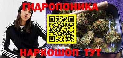 прущая мука Будённовск