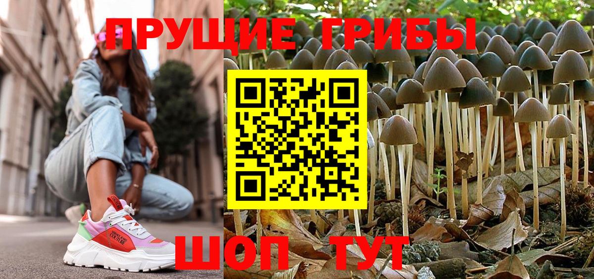 Псилоцибиновые грибы GOLDEN TEACHER Усть-Джегута