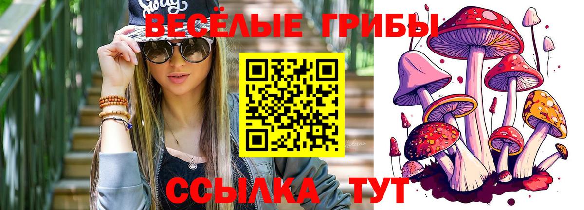 Усть-Джегута  Псилоцибиновые грибы прущие грибы  Вход с VPN 